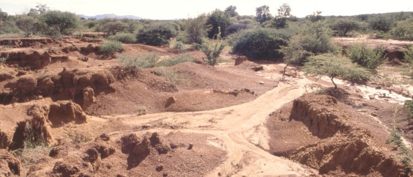 climate change denial soil erosion