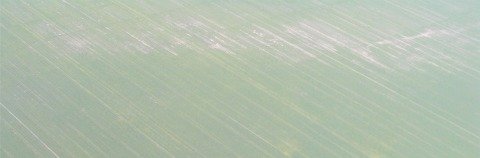 biochar and environmental management crop