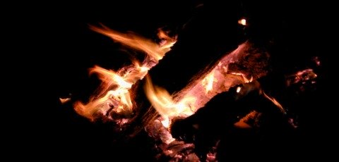 biomass power log fire