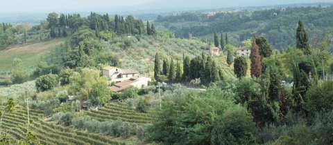 Carbon cycles Tuscan countryside