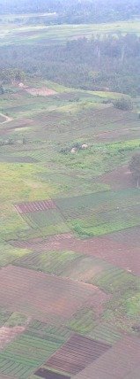 carbon cycles arable fields