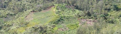 carbon sinks subsistence farmland