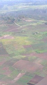 climate change agriculture | arable PNG