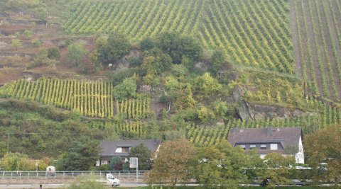 climate change agriculture | Rhine valley